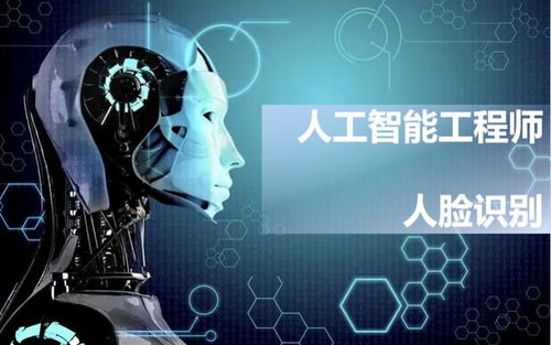 職業(yè)體驗 云游一夏，探索人工智能應用軟件開發(fā)的無限魅力